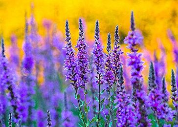 TGA“玩家之声”第二轮投票开启 《黑神话：悟空》等多款国产游戏晋级