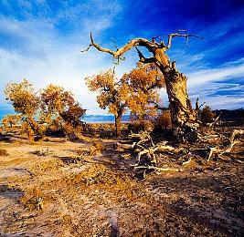 Steam最新一周销量榜：《逃生 试炼》登顶